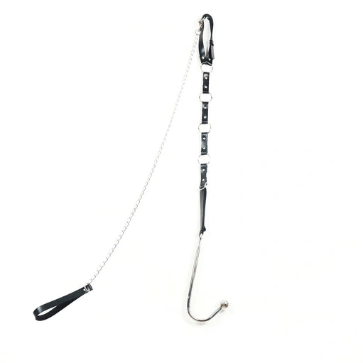 with Hook Anal and Leash 5853 EverydayUse Kinky Collar 1002